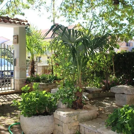 Maras Apartament *