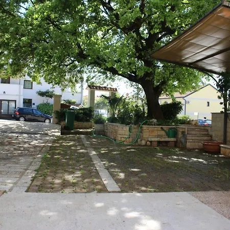 Maras * Poreč
