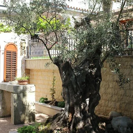 Maras Apartman